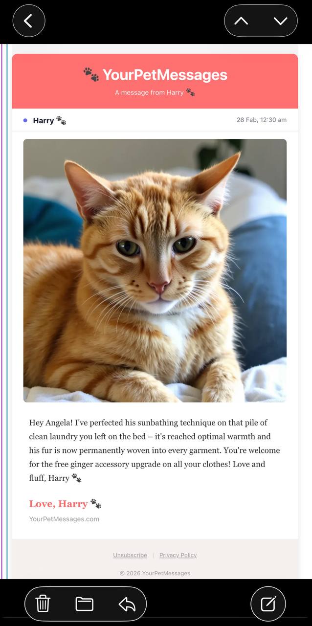 Message from Harry about sunbathing on laundry