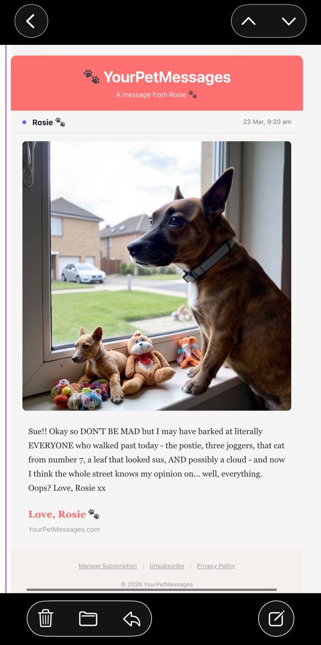 Message from Rosie about barking at everyone