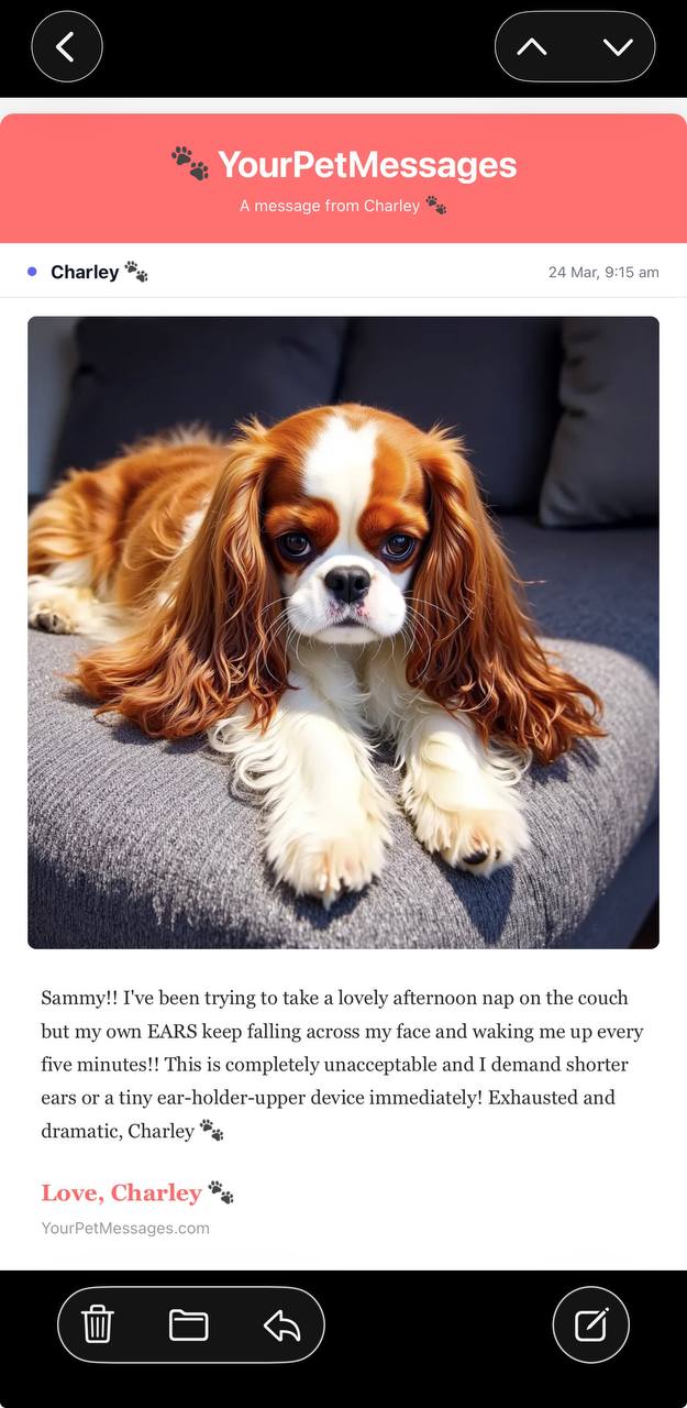 Message from Rosie about cloud watching